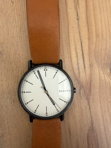 Skagen men watch - skagen,