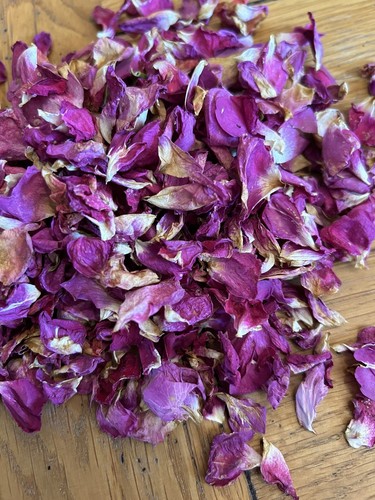 Natural dried flower real - natural,