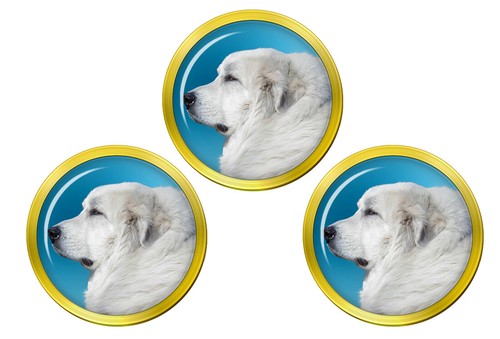 Pyrenean mountain dog - pyrenean,