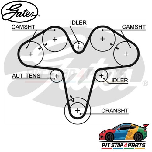 For alfa romeo 166 timing - 166, belt