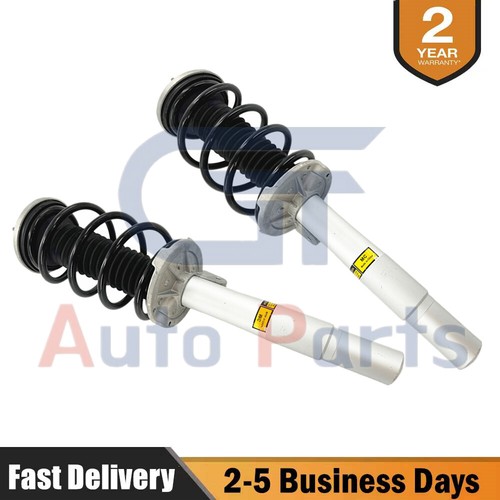 Front shock struts - 2x,