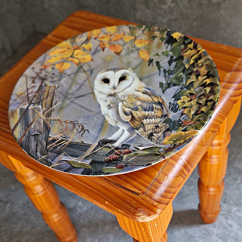 Royal doulton silent wings - royal,