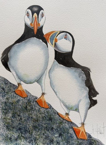 Puffins original - original(not, a