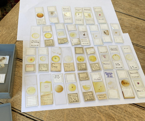 Vintage microscope slides 32 - microscope,