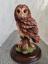 Country Artists Tawny Owl