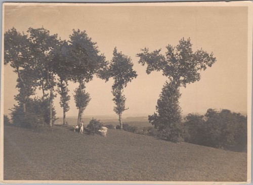 Airmail postcard landscape - airmail,