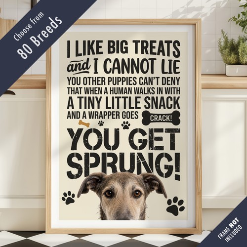 Funny dog treats - dog, lyric