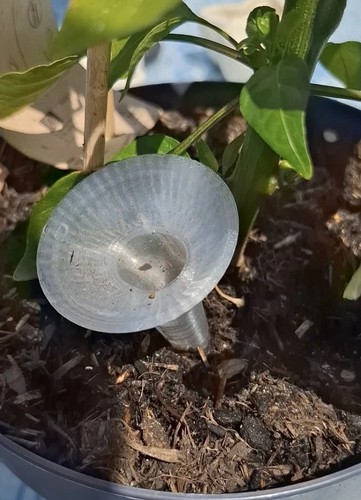 Plant watering water - x,