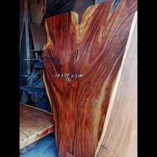 A large and beautiful Monkey