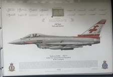 Squadron print 1355 - squadron,