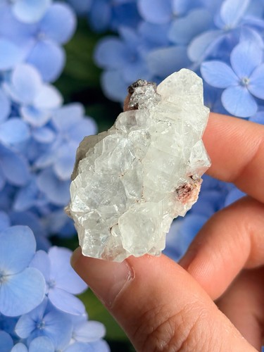 Apophyllite quartz crystal - apophyllite,