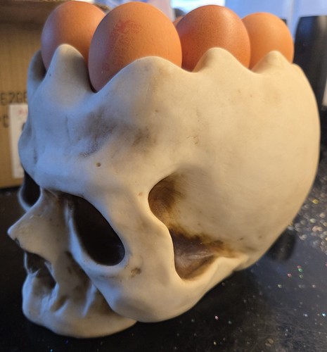 Nemesis egg head skull - skull,
