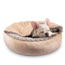 Dog Beds for Small Medium