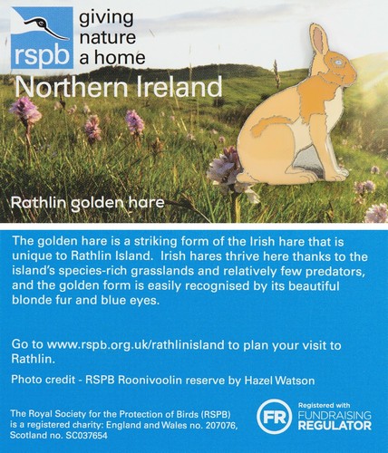 Rspb pin badge - pin,