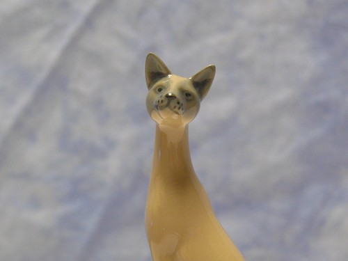 Curio cabinet cat - cat, collection