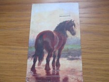 Original harry payne - original,