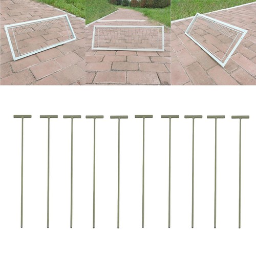 10x pigeon birds - 10x, entrance