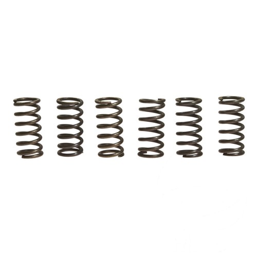 Clutch springs ebc - 6,
