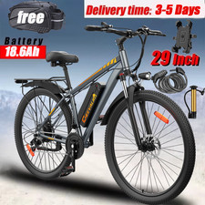 29 Inch Electric Bicycle