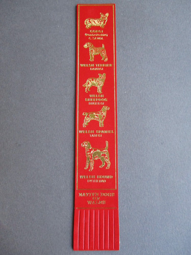Leather bookmark native - bookmark,