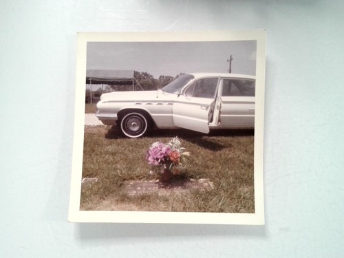 1965 kodacolor print - 1965, photo