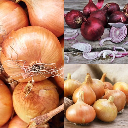 Onion sets mix 1500g - onion,