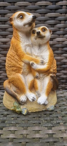 Charming meerkat couple - couple, garden