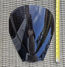 Yamaha Fzs 1000 Fazer Screen