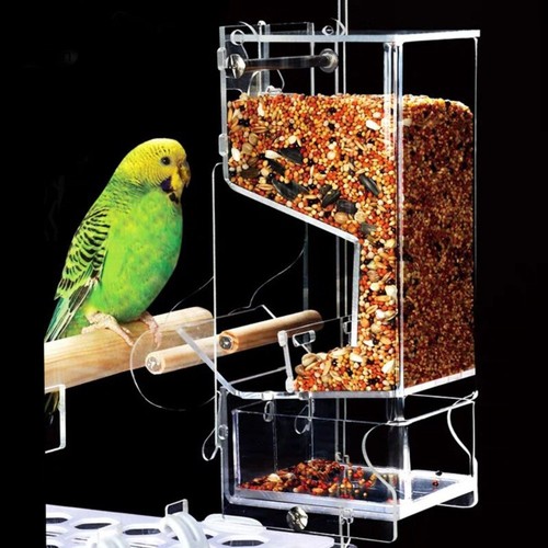 Automatic bird feeder - automatic,