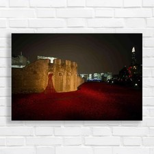 Tower Bridge London Poppies By