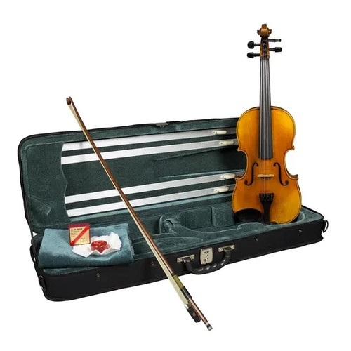 Hidersine venezia violin - hidersine,