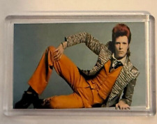 David Bowie, chilling, Pop Icon Fridge Magnet