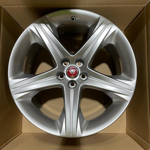 Genuine jaguar rear - xk, 20"