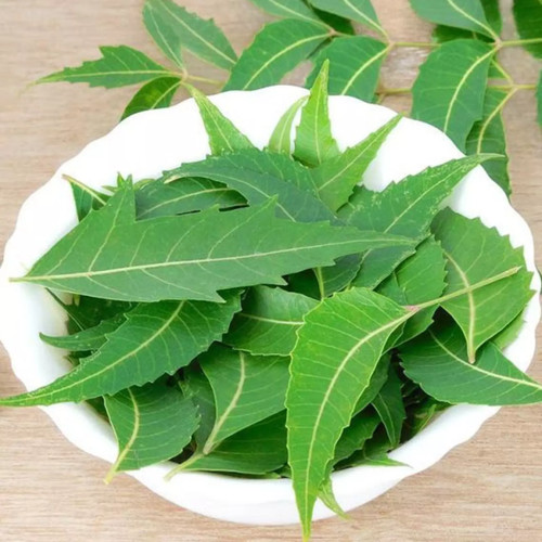 Organic dried neem leaves - leaves, 50g