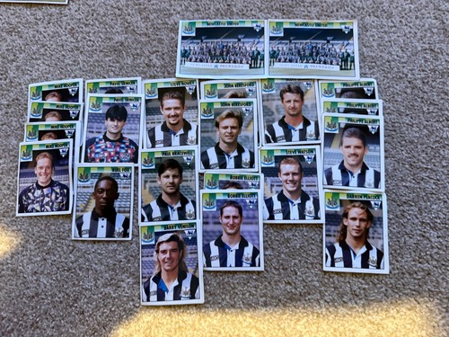 Newcastle merlins premier - newcastle,