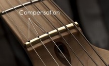 Unique COMPENSATED BRASS NUT
