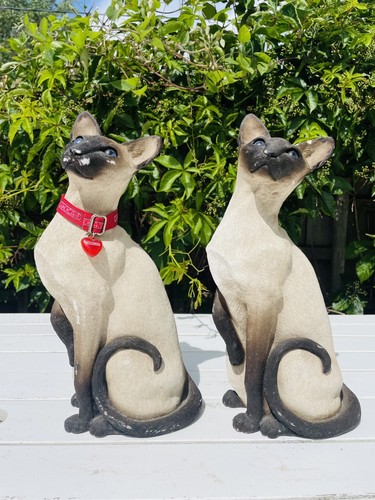 Pair sandicast siamese - of,