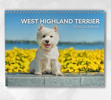 West Highland Terrier Calendar