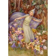 M W Tarrant - The Fairy Troupe
