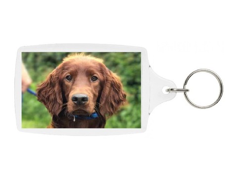 Irish setter keyring - irish,