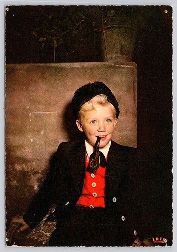 Postcard art young alsatian - art,
