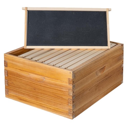 Beeswax dipped langstroth bee - langstroth,