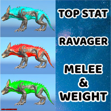 Top Stat Ravager Mating Pair - 1535 Melee Option - Ark Survival Ascended PVE ASA