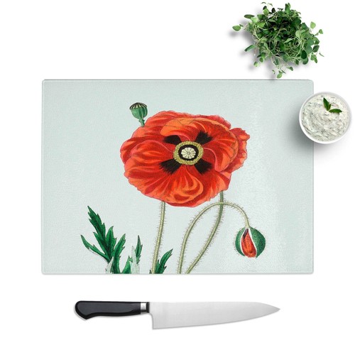 Common poppy illustration - common,