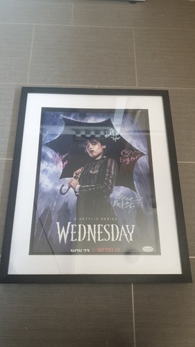 Wednesdays adams cast - wednesdays,