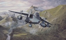 Limited Edition Aviation Print Jaguar Patrol by Philip West Sepecat Jaguar