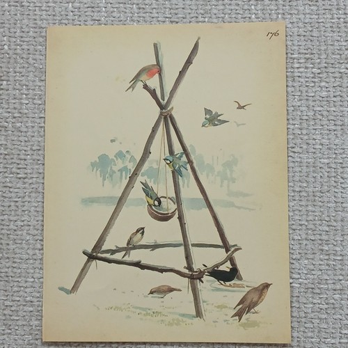 Vintage 1977 garden - vintage, birds