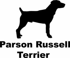 Parson Russell Terrier