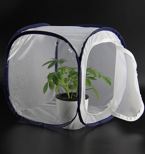 Pop folding cage - folding, breeding