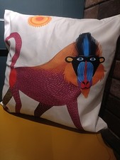 Amazing! Baboon African Style